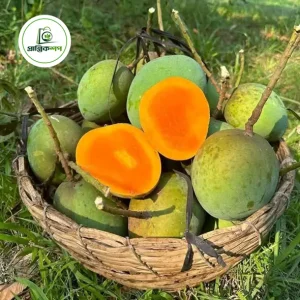 হিমসাগর/খিরসাপাত আম (২০ কেজি)