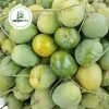 গোপালভোগ আম gopalbhog mango
