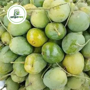 গোপালভোগ আম gopalbhog mango